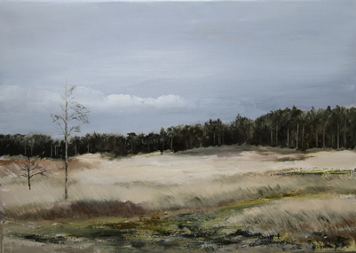 hollumer duinen